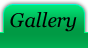Photo Gallery